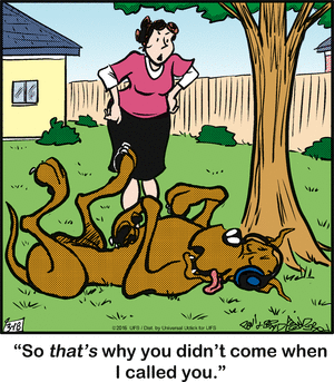 marmaduke